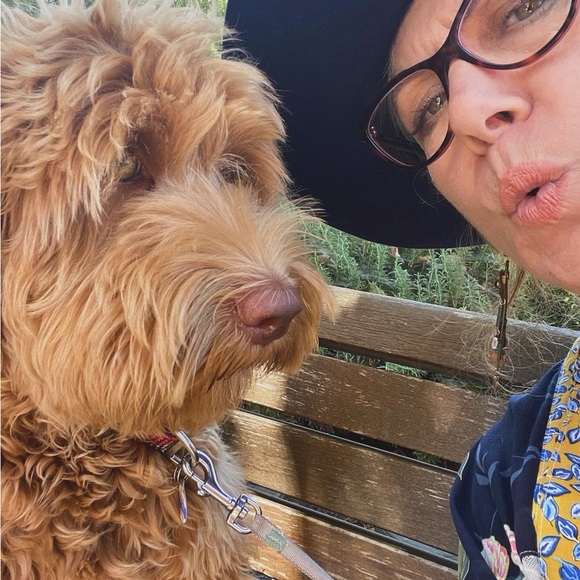 Meet your Posher, Lanee. 🌞

🐶🐾Sorry but My pup is NOT available 🤣She’s our kid - Picture 3 of 17